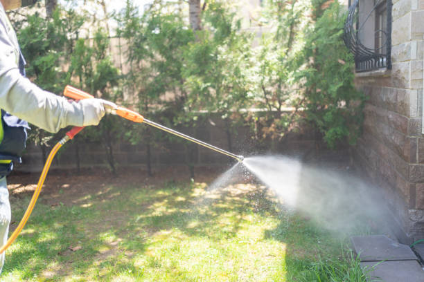 Best Best Pest Control Companies  in St Maries, ID
