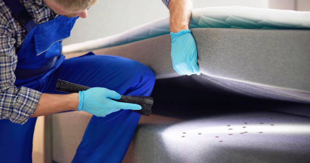 Best Pest Removal Services  in St Maries, ID