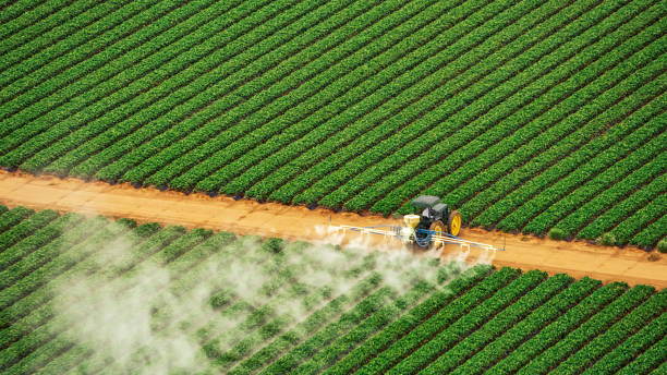Best Mosquito Control Services  in St Maries, ID