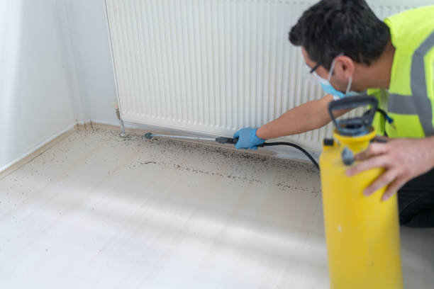 Best Residential Pest Control  in St Maries, ID